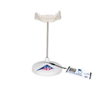 Модель подъязычной кости на штативе - 3B Smart Anatomy