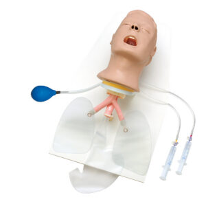 Усовершенствованный тренажер головы «Airway Larry» с подставкой